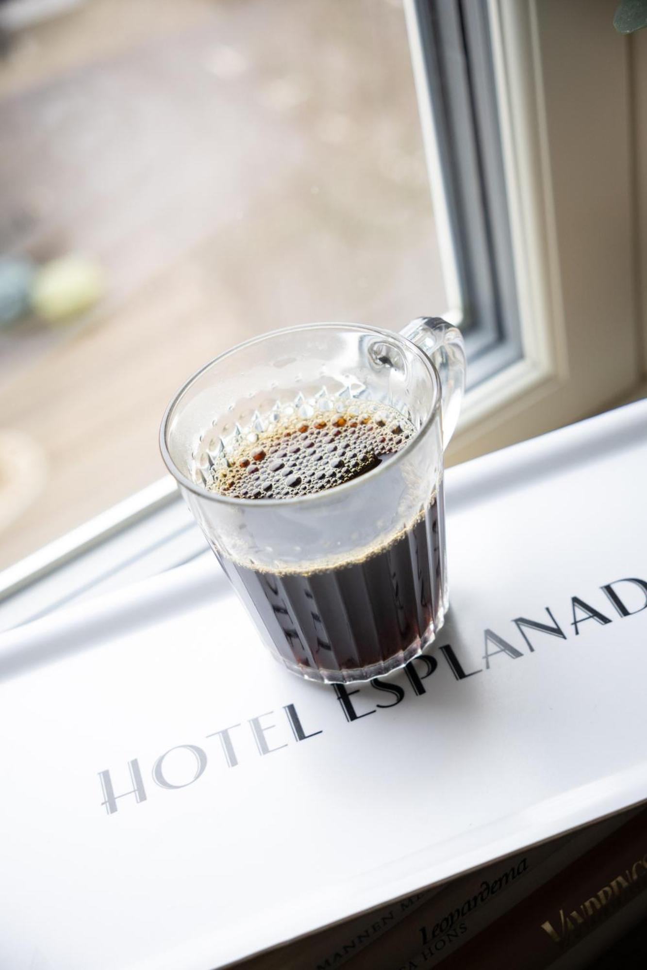 Hotel Esplanad 3*